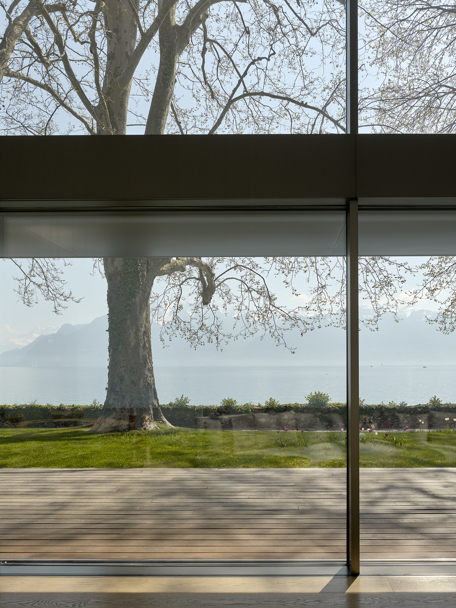 Ahp0015 GER07 alpa 113606 C